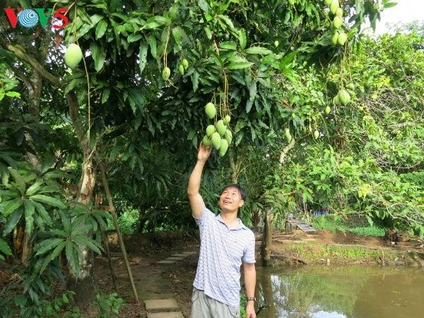 Meningkatkan nilai produk buah-buahan khas dari Vietnam - ảnh 1