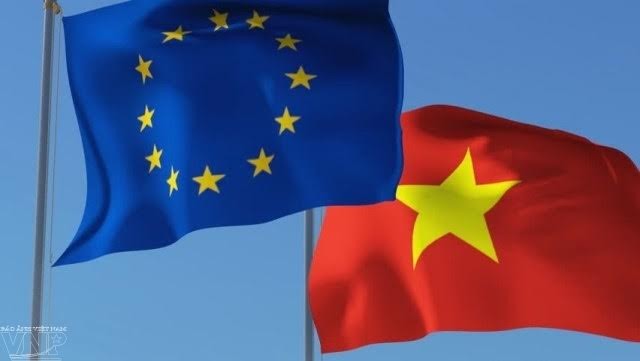 Memperkuat dialog yang konstruktif antara Uni Eropa dan Vietnam - ảnh 1