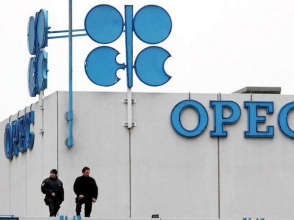 Negara-negara dalam dan luar OPEC menegaskan kembali komitmen untuk memangkas hasil produksi minyak - ảnh 1