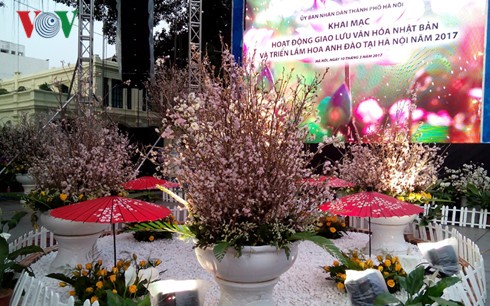 Pembukaan temu pergaulan budaya Jepang dan pameran bunga Sakura di kota Hanoi - ảnh 1