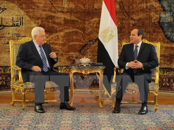 Mesir dan Palestina membahas proses perdamaian Timur Tengah - ảnh 1