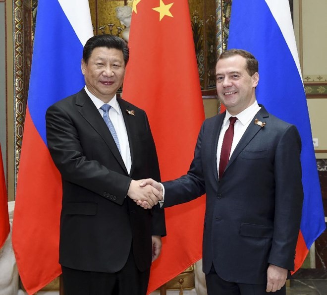 Presiden Tiongkok, Xi Jinping melakukan pembicaraan dengan PM Rusia, Dmitry Medvedev - ảnh 1