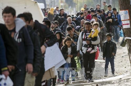  Masalah migran: Austria mengimbau kepada Uni Eropa dan Italia supaya cepat beraksi untuk mencegah krisis - ảnh 1