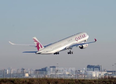  Uni Emirat Arab menegasi membuka wilayah udara bagi pesawat terbang Qatar - ảnh 1