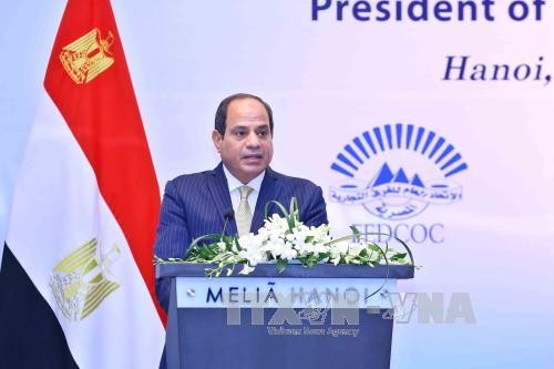  Presiden Republik Arab Mesir mengakhiri dengan baik kunjungan kenegaraan di Vietnam - ảnh 1