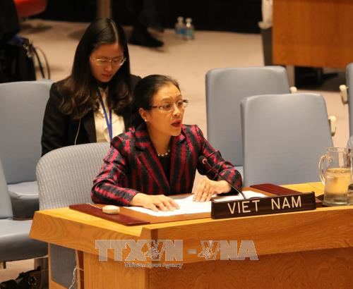 Vietnam berinisiatif dan aktif ikut serta dalam aktivitas-aktivitas menjaga perdamaian PBB - ảnh 1