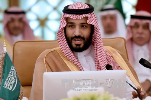 Arab Saudi: Serentetan Menteri dan pangeran ditangkap - ảnh 1