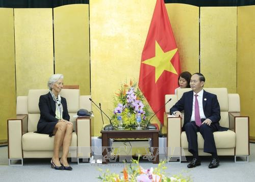 Presiden Vietnam, Tran Dai Quang menerima pemimpin perekonomian-perekonomian APEC - ảnh 4