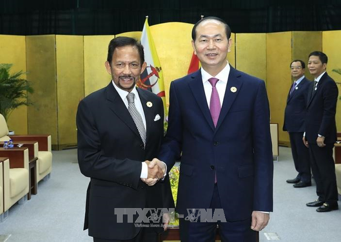 Presiden Vietnam, Tran Dai Quang menerima pemimpin perekonomian-perekonomian APEC - ảnh 3