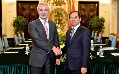 Konsultasi politik antara Deputi Menlu Vietnam, Bui Thanh Son dan Sekjen Kementerian Luar Negeri dan Eropa dari Belgia, Dirk Achten - ảnh 1