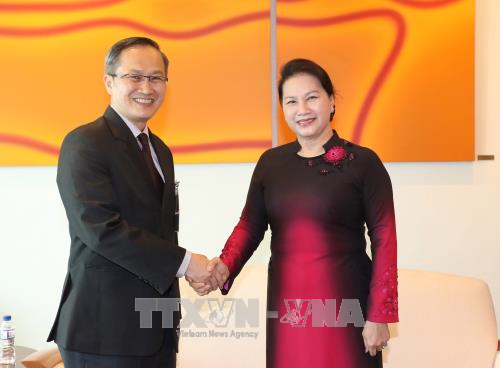 Ketua MN Vietnam, Nguyen Thi Kim Ngan memulai kunjungan resmi di Singapura - ảnh 1