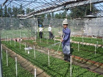 Provinsi Phu Yen: Mengawali banyak proyek investasi di bidang pertanian - ảnh 1
