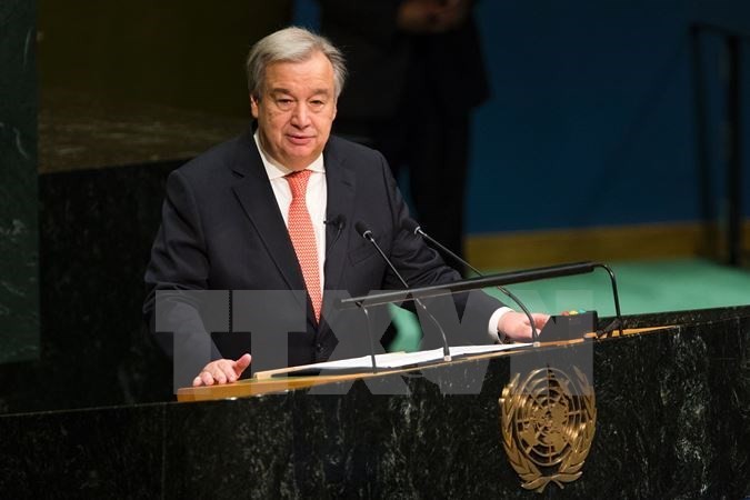 Peranan kunci Piagam PBB dalam menangani tantangan-tantangan global - ảnh 1