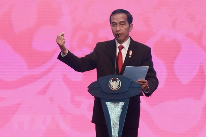  Partai yang berkuasa di Indonesia mempercayai Presiden J.Widodo mencalonkan diri pada pilpres untuk masa bakti ke-2 - ảnh 1