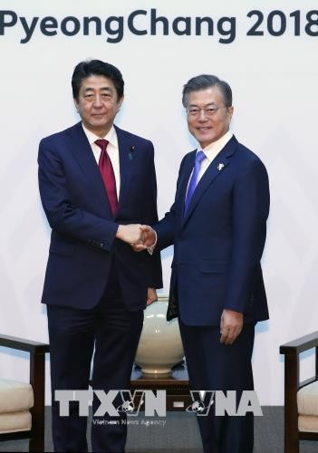 PM Jepang, Shinzo Abe mengundang Presiden Republik Korea mengunjungi Jepang sebelum pertemuan puncak antar-Korea - ảnh 1
