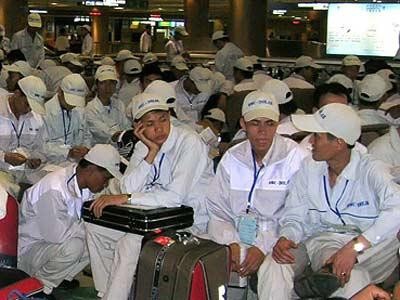 Kementerian Tenaga Kerja, Prajurit Disabilitas dan Sosial Vietnam akan mengadakan ujian bahasa Korea pada bulan Juni mendatang - ảnh 1