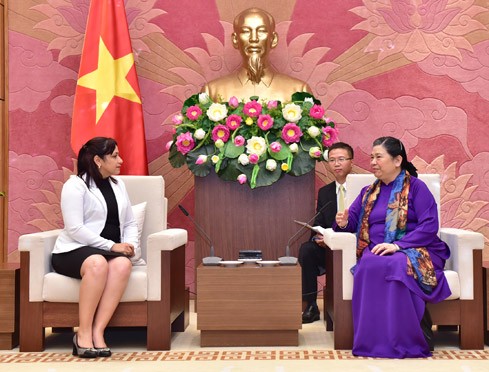 Wakil Harian Ketua MN Vietnam, Tong Thi Phong menerima Sekretaris Pertama Liga Pemuda Komunis Kuba - ảnh 1