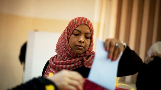 DK PBB mengesahkan rencana penyelenggaraan pemilu di Libia - ảnh 1