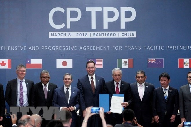 Parlemen Jepang mengesahkan UU mengenai penyelesaian prosedur-prosedur tentang CPTPP - ảnh 1