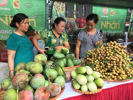 Pekan buah kelengkeng dan hasil pertanian yang aman Provinsi Son La di Kota Ha Noi - ảnh 1