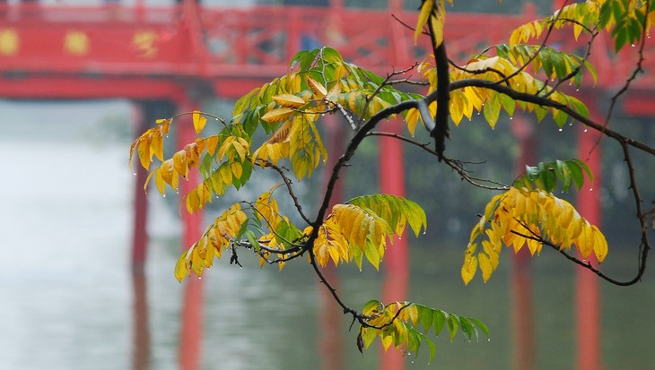 Warna musim gugur Kota Ha Noi - ảnh 16