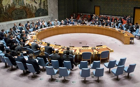 Rusia meminta kepada DK PBB supaya melakukan sidang tentang situasi Suriah - ảnh 1