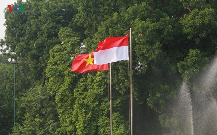 Panorama kunjungan Kenegaraan Presiden Indonesia, Joko Widodo di Viet Nam - ảnh 2