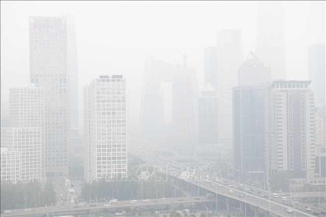 Konferensi global pertama tentang polusi udara dan kesehatan dibuka di Swiss - ảnh 1