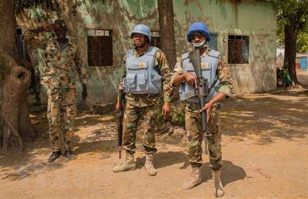 PBB memperpanjang sanksi terhadap Sudan Selatan - ảnh 1