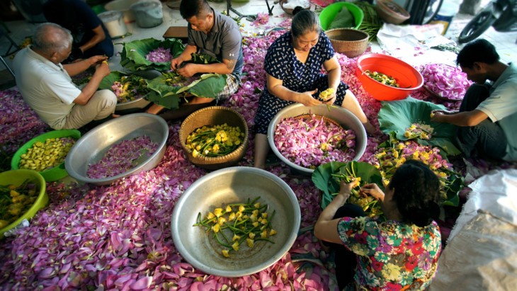 Teh beraroma teratai Danau Tay – Intisari orang Kota Hanoi - ảnh 17