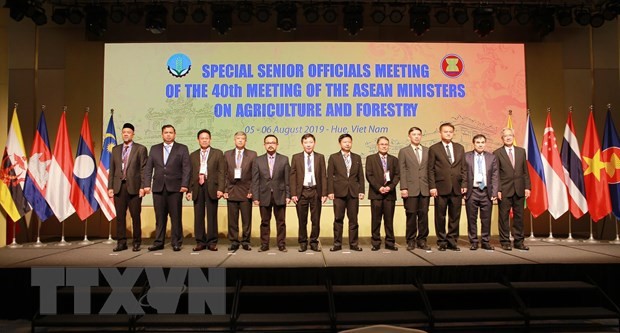 Konferensi istimewa ke-18 pejabat senior bidang pertanian dan kehutanan AMAF ASEAN+3 - ảnh 1