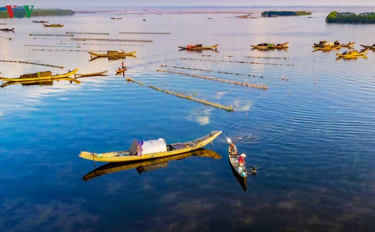 Rawa Quang Loi – Destinasi wisata yang menarik di kawasan Laguna Tam Giang - ảnh 6