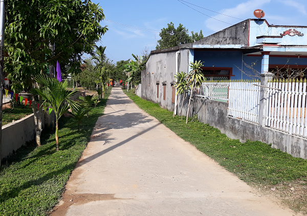 Kehidupan Baru di Satu Kecamatan di Daerah Tay Nguyen - ảnh 1
