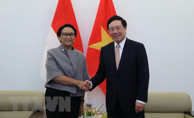 Vietnam dan Indonesia mendorong secara kuat kerjasama bilateral - ảnh 1