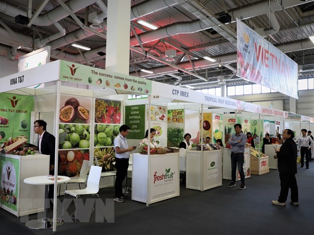 Badan-badan usaha anggota Asosiasi Hortikultura Vietnam berpartisipasi pada Pekan Raya “Fruit Logistica 2020” - ảnh 1
