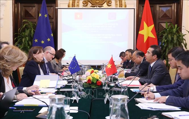 Sidang pertama Sub-komisi urusan masalah-masalah politik dalam rangka Komisi gabungan tentang penggelaran Perjanjian kerangka mengenai kemitraan dan kerjasama komprehensif Vietnam – Uni Eropa (PCA) - ảnh 1