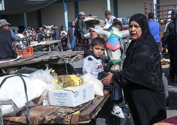 PBB dan Qatar Laksanakan Pemberian Bantuan Berupa Uang Tunai untuk Warga di Palestina dan Jalur Gaza - ảnh 1