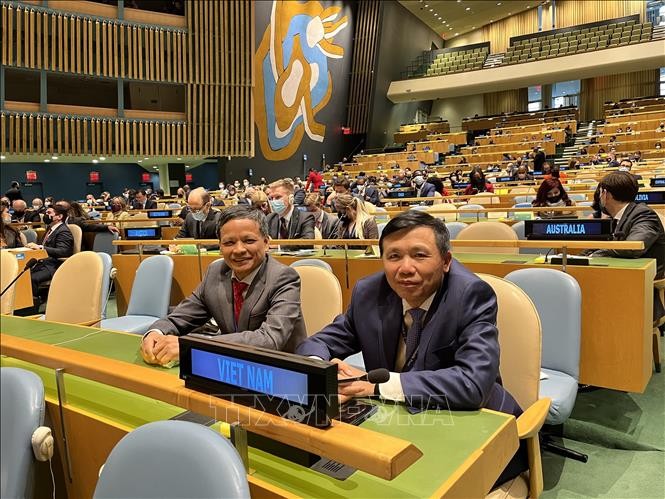 Vietnam Terpilih Kembali Menjadi Anggota Komisi Hukum Internasional PBB - ảnh 1