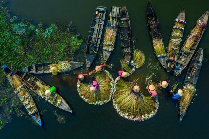 Sepuluh Foto Vietnam yang Meraih Hadiah Internasional 2021 - ảnh 5