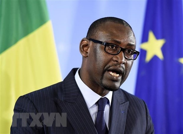 ECOWAS Sahkan Sanksi Baru terhadap Mali - ảnh 1