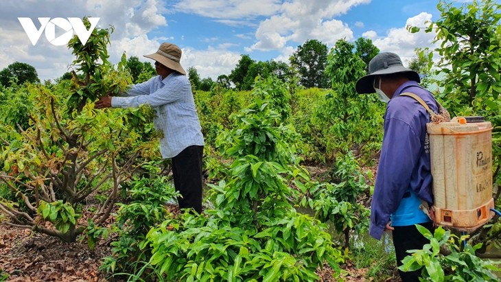 Kabupaten Binh Chanh, Kota Ho Chi Minh Selesaikan Pembangunan Pedesaan Baru - ảnh 1