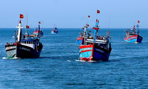 Juru Bicara Kemenlu Vietnam Protes Tiongkok Berlakukan Perintah Larang Penangkapan Ikan di Laut Timur - ảnh 1