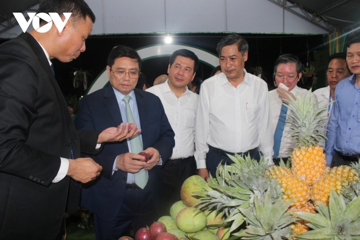 PM Pham Minh Chinh Tunjukkan Lima Masalah Agar Buah-Buahan OCOP Berkembang Secara Berkelanjutan - ảnh 1
