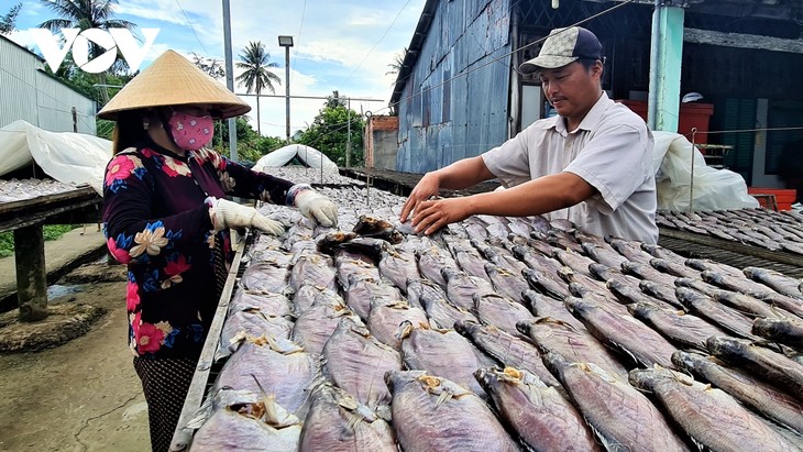 Program OCOP untuk Tingkatkan Kualitas Merek “Ikan Sepat Siam Kering U Minh” dari Provinsi Ca Mau - ảnh 1
