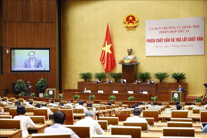Sesi Interpelasi dan Jawaban Interpelasi pada Persidangan ke-14 Komite Tetap MN Vietnam - ảnh 1