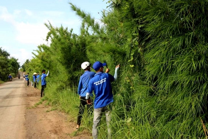 Rekam Jejak Sukarelawan Musim  Panas Hijau di Daerah Perbatasan Dak Lak - ảnh 2