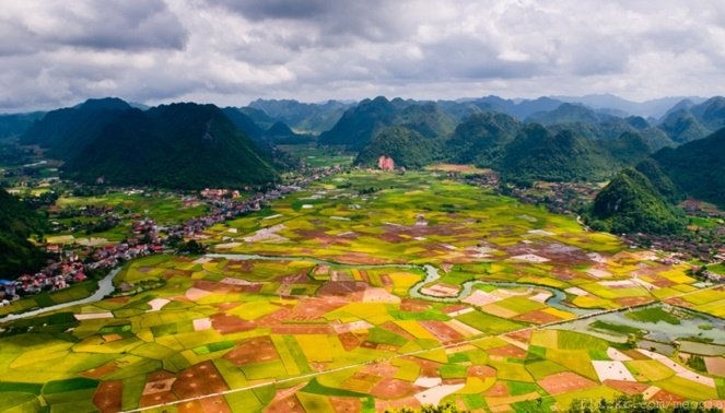 Pembentukan Dewan Koordinasi Daerah Lereng Gunung dan Daerah Pegunungan Vietnam Utara untuk Periode 2021-2025 - ảnh 1