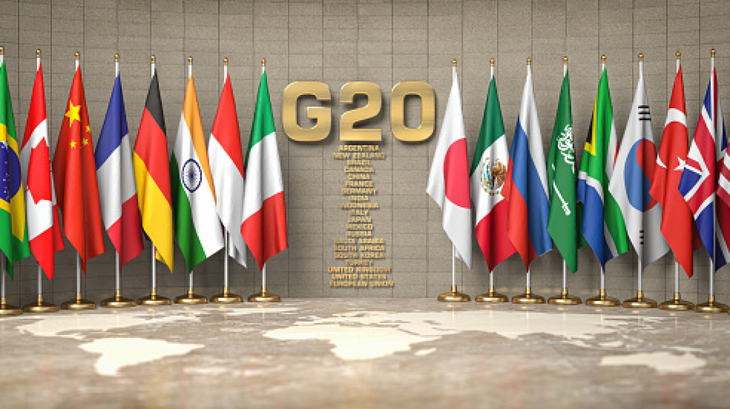  G20 Perkuat Kerja Sama untuk Mendorong Hak Perempuan - ảnh 1
