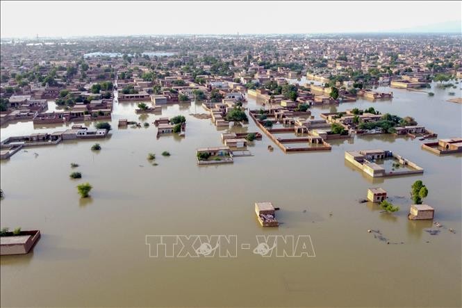Ketua MN Vietnam, Vuong Dinh Hue Mengirim Surat untuk Menyatakan Prihatin tentang Hujan Lebat dan Banjir di Pakistan - ảnh 1
