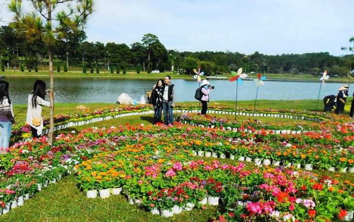 Memperkenalkan Festival Bunga Da Lat dan Taman Nasional Phong Nha-Ke Bang  - ảnh 1